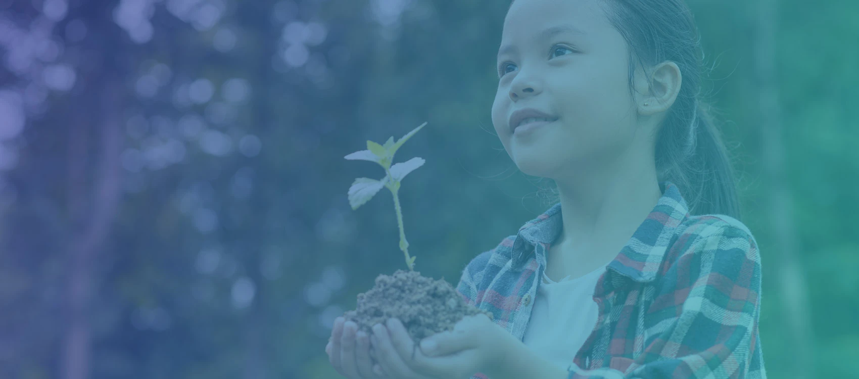 sustainable solutions provider in energy & environment in india